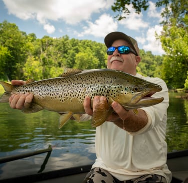 Woah Brett! Nice Brown Trout!