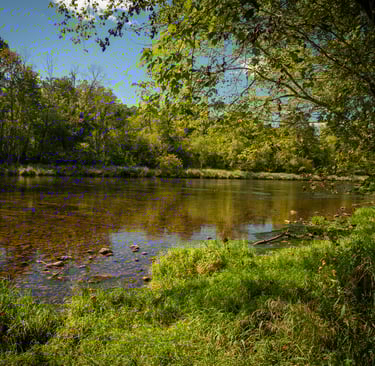 Fly Fish South Holston River