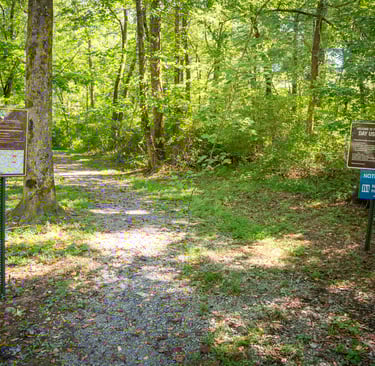 Beautiful Scenic Trails