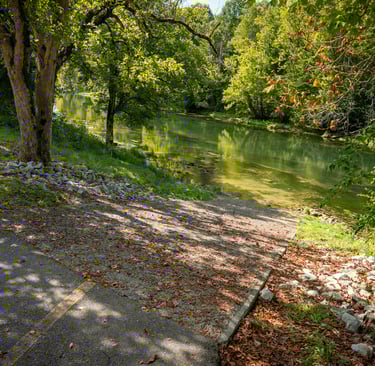 Leaves are starting to change on the South Holston River