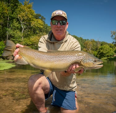 Big Brown trout in Tennessee 