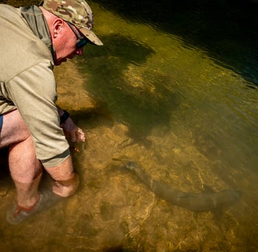 Fall Fly Fishing Tips