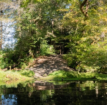 River Access from the Bouton Trail