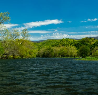 Late spring on the South Holston River.