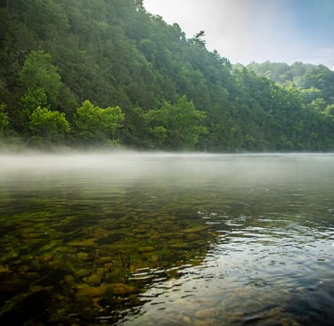 Beautiful Foggy morning on the South Holston.
