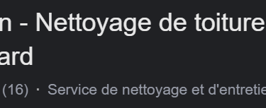 Nettoyage de toiture à Belfort
