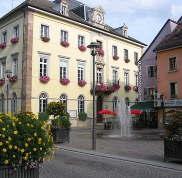 Démoussage héricourt