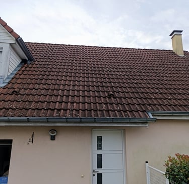 Nettoyage toiture à Belfort