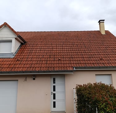 Demoussage toiture à Belfort