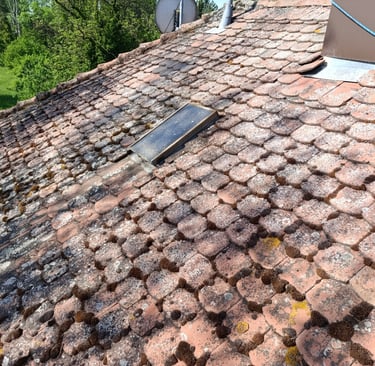 Nettoyage toiture belfort