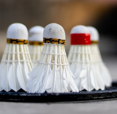 Badminton-Kurs-foto