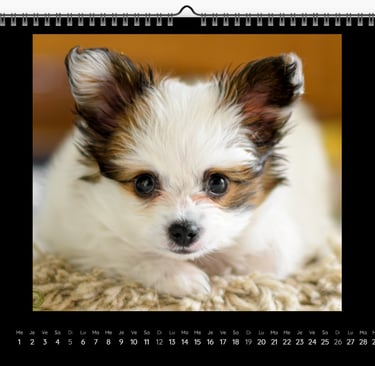 calendrier avec photo de chiot