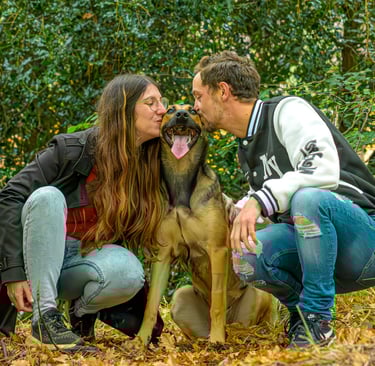 ärtage entre maitres et malinois