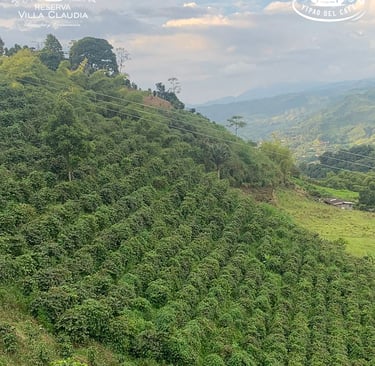 planes familiares en pereira