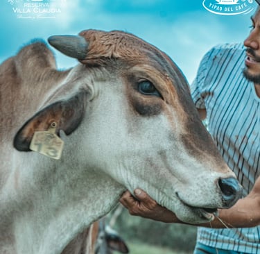 destinos turísticos en pereira