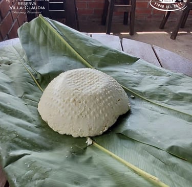 tour lechero pereira