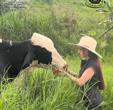 actividades para niños en pereira colombia