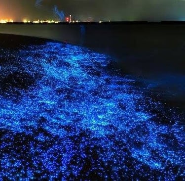 Indian River Lagoon