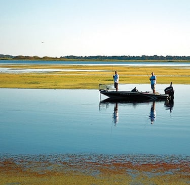 Lake Toho