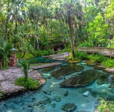 Wekiwa Springs State Park