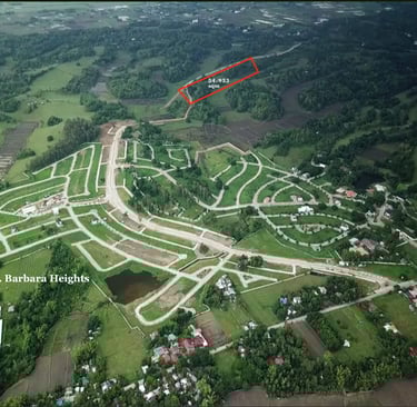 Titled lot along the road for sale near Iloilo Airport and Sta. Barbara Heights