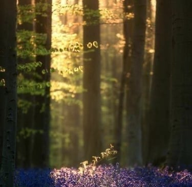 inner sanctuary