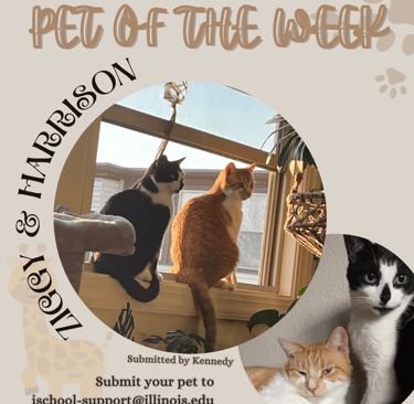 two cats sitting on a window sill 