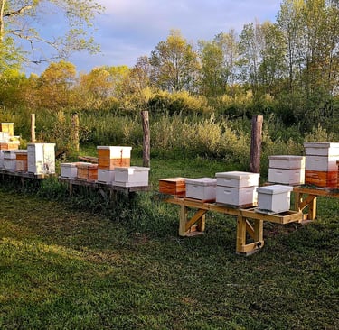 Oak Point Farm Apiary