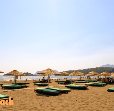 a beach with umbrellas on the sand