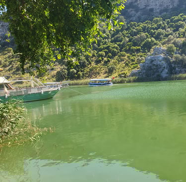 a boat on the water with a mountain in the background