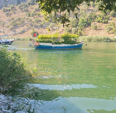 a boat in Dalyan River