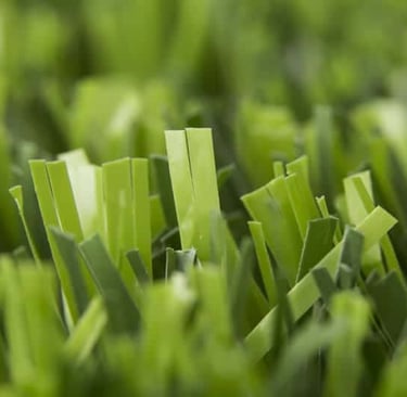 Duo grass turf