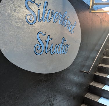 old school signage, silverbird studio, below Miss Kims, Potosi city hall, 573 Magazine