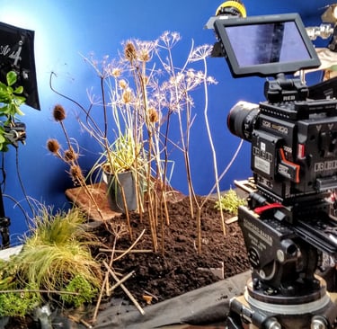a wildlife film set built for natural history productions