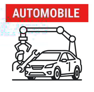VitaTrans transport express taxi-colis secteur Automobile Bourgogne Franche Comté