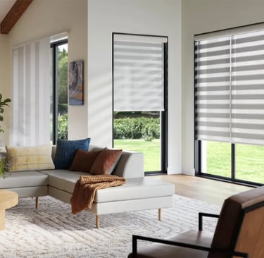 living room with zebra shades and natural light – Rise Up Window Coverings Milwaukee