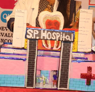 PROJECTS IN EXHIBITIONS