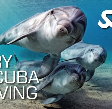 SSI Try Scuba Diving