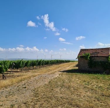 Wöllstein, Winzerhäuschen