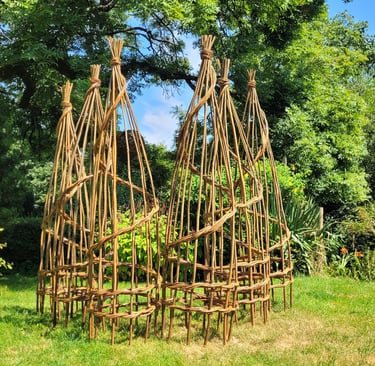 Woven willow garden obelisks used as climbing plant supports or for event decorations