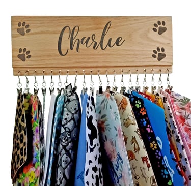 a personalized wooden bandana display holding twenty bandanas.
