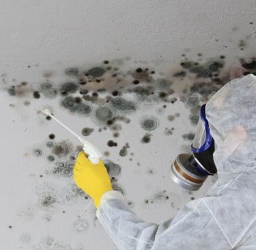 Physical cleaning of a mold in a house