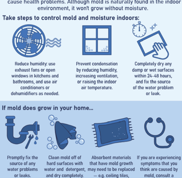 best way to prevent mold growth