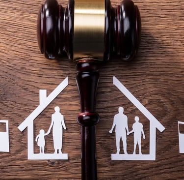 divórcio consensual litigioso, guarda filhos autistas, pensão alimentícia Dr Luilson Felipe