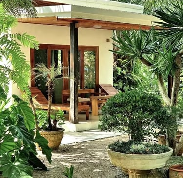 Experience thailands beach bungalows. Paradise, beach, coconut, thailand