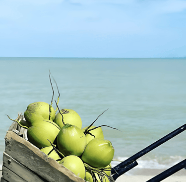 Experience thailands beach bungalows. Paradise, beach, coconut, thailand