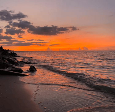 Experience thailands beach bungalows. Paradise, beach, coconut, thailand
