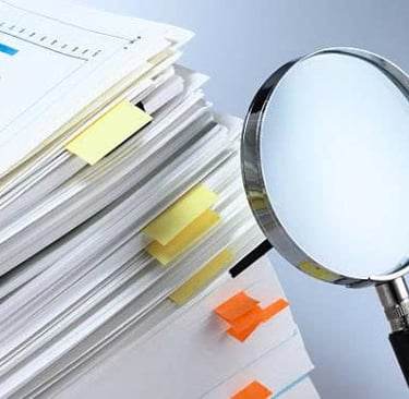 conan detective vietnam agency