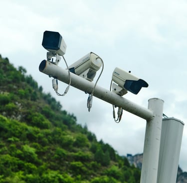 detective agency Vietnam