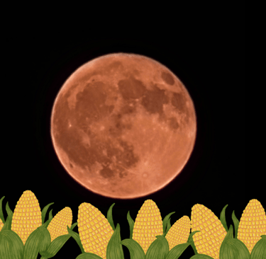 Corn Moon and Blood Moon Rituals Guide Soul Sisters Tarot